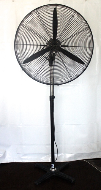 Fan, Pedestal, 71cm adjustable 